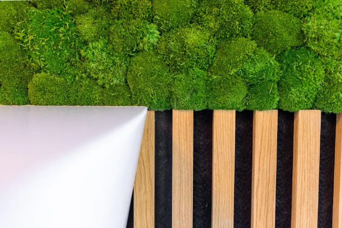 Moss and accoustic panel detail